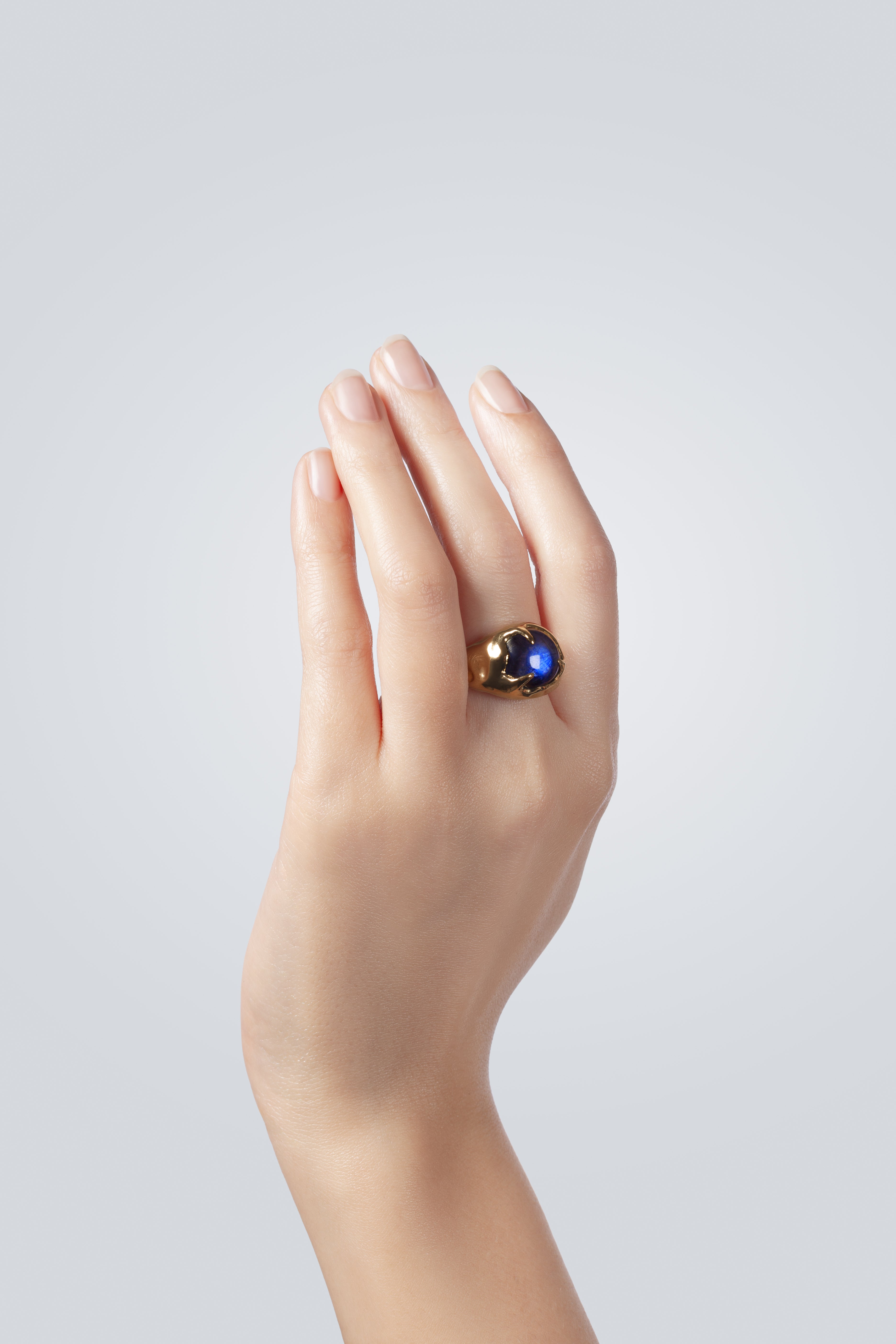 BAGUE FAUVE BAGUE Monsieur Paris